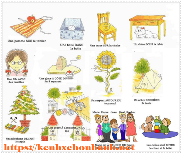 Học tiếng Pháp và từ vựng mỗi ngày