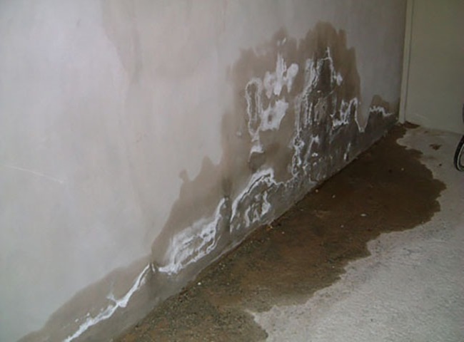 Tường nhà chung cư bị thấm, bong tróc sơn, ố vàng tường