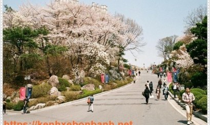 Học bổng của các trường đại học Hàn Quốc