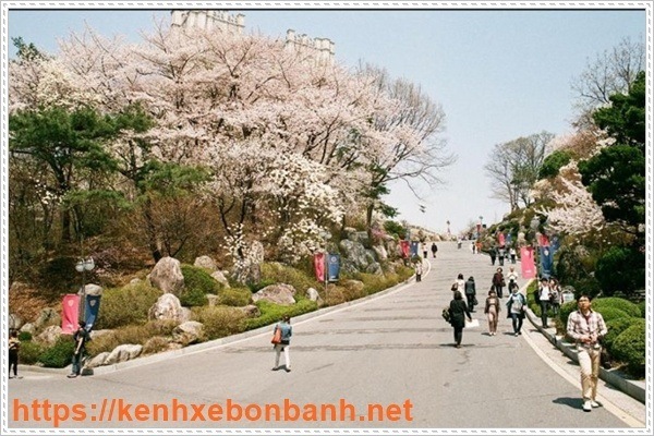 Du học nghề Hàn Quốc là như thế nào?