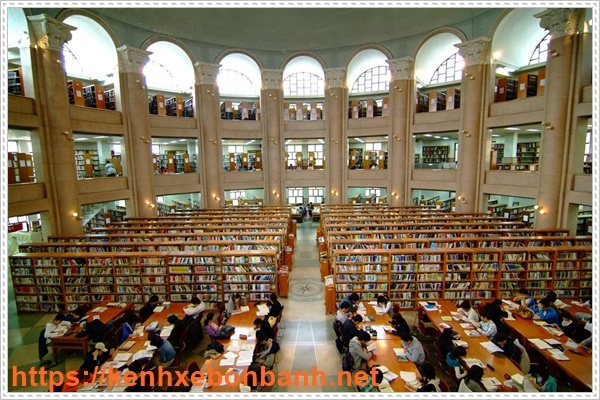 Du học Hàn Quốc bằng tiếng Anh có gì đặc biệt