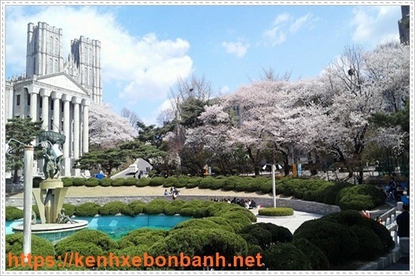 Du học nghề Hàn Quốc có rất nhiều ưu điểm