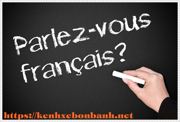 Ôn tập lại bài cũ khi học tiếng Pháp cho người mới bắt đầu