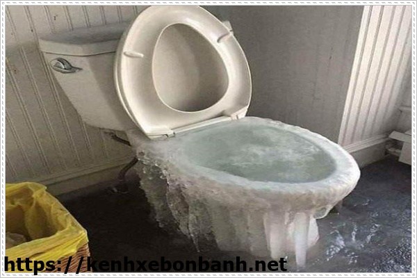 Sử dụng c&acirc;y phong thủy h&oacute;a giải hướng sai