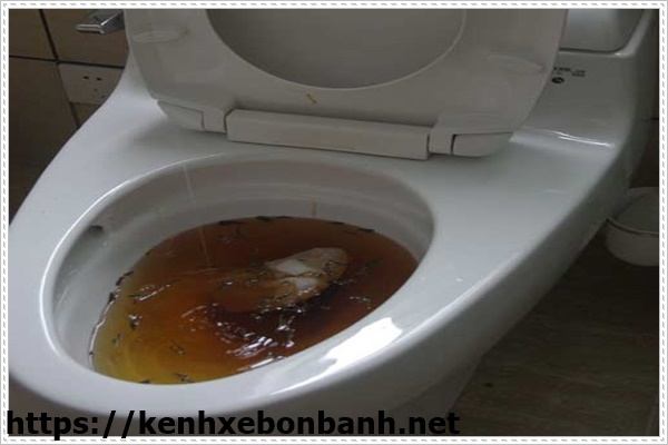 hầm cầu bị nghẹt phải giải quyết như thế n&agrave;o