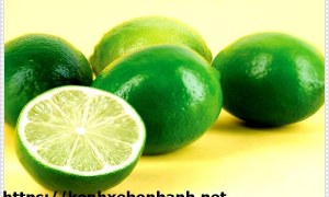 Tiết lộ cách khử mùi khai trong phòng vệ sinh